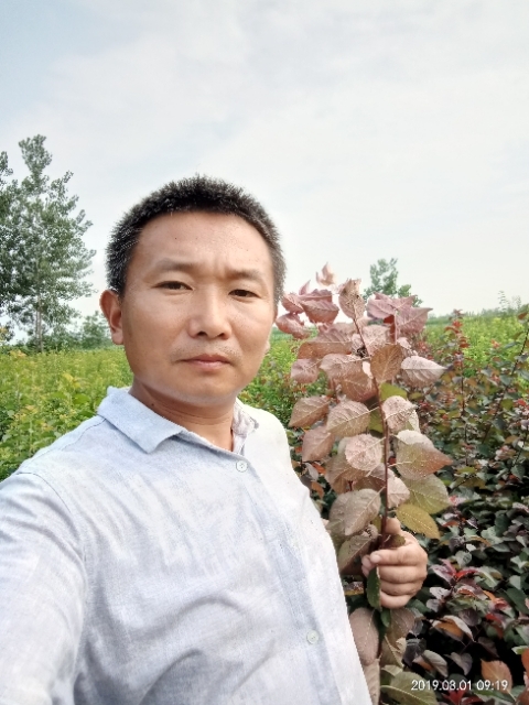 孩子爸的第二张照片--扬州相亲服务中心