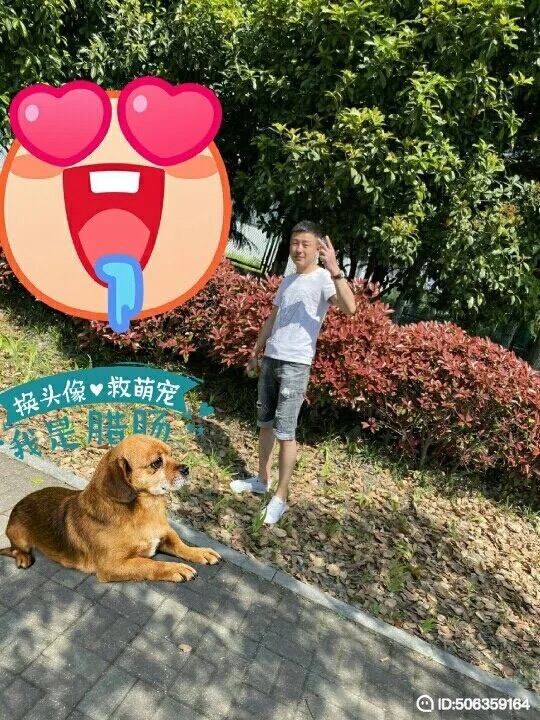 我若不坚强谁替我勇敢的第五张照片--扬州相亲服务中心