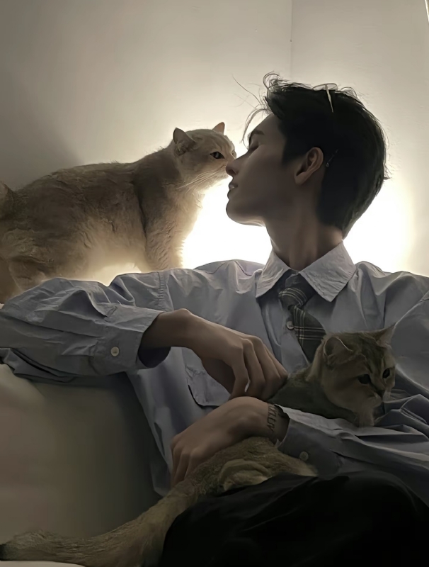 怪猫的第一张照片--扬州相亲服务中心